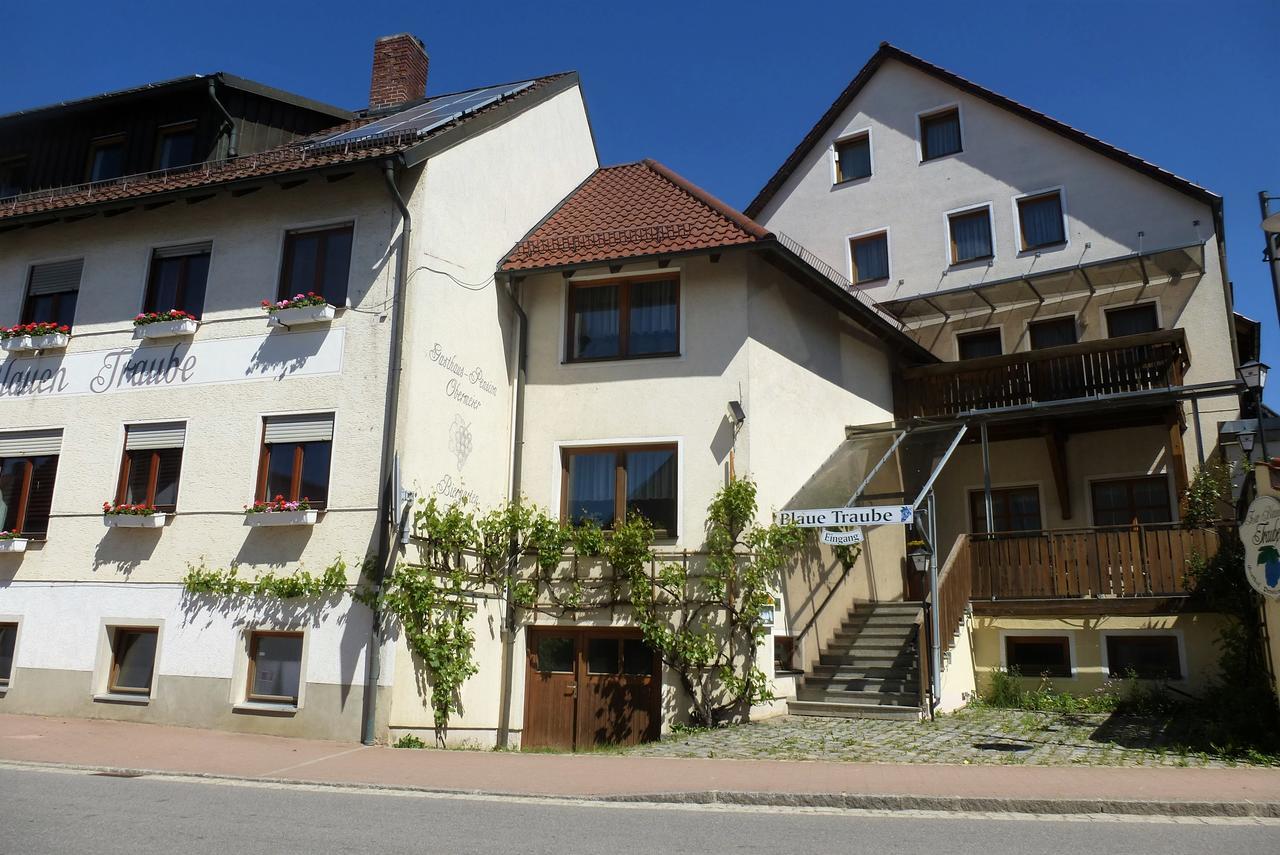 Blaue Traube Hotel Gebenbach Luaran gambar